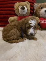 processed/7ea59eef-d9c9-42c4-b86a-232563a1aa0c/listing/b44051f7-fd5e-4996-9e28-f8c795682815/0cfa87e4-95a7-4c31-b166-04f4b53f0ed2