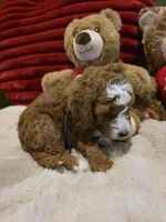 processed/7ea59eef-d9c9-42c4-b86a-232563a1aa0c/listing/b44051f7-fd5e-4996-9e28-f8c795682815/581cf393-64d4-44fd-97c1-2eb4d5e00088