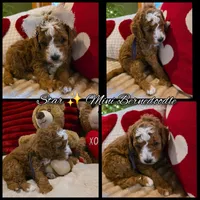 processed/7ea59eef-d9c9-42c4-b86a-232563a1aa0c/listing/b44051f7-fd5e-4996-9e28-f8c795682815/64ebce3c-3d42-460f-9e6b-a7b0462f23ed