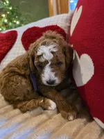 processed/7ea59eef-d9c9-42c4-b86a-232563a1aa0c/listing/b44051f7-fd5e-4996-9e28-f8c795682815/73734ec4-d0b9-4737-91ba-9d9503c0ee22