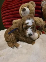 processed/7ea59eef-d9c9-42c4-b86a-232563a1aa0c/listing/b44051f7-fd5e-4996-9e28-f8c795682815/945cdfb7-324a-479b-85af-989de9867b3c