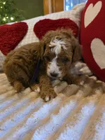 processed/7ea59eef-d9c9-42c4-b86a-232563a1aa0c/listing/b44051f7-fd5e-4996-9e28-f8c795682815/dfe10ce9-4c51-4d57-b776-6c9336e312a4