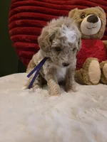 processed/7ea59eef-d9c9-42c4-b86a-232563a1aa0c/listing/dd4c8a71-9423-4091-a87b-a852d64752a9/2eb55274-6094-48a8-b359-49b7e6923df6