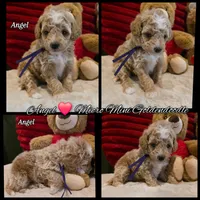 processed/7ea59eef-d9c9-42c4-b86a-232563a1aa0c/listing/dd4c8a71-9423-4091-a87b-a852d64752a9/46177a7d-7aea-44ce-b1bc-6e4db42f9e20