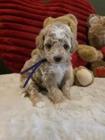 processed/7ea59eef-d9c9-42c4-b86a-232563a1aa0c/listing/dd4c8a71-9423-4091-a87b-a852d64752a9/486f2799-0dc6-4804-bf4f-39e836d6d215