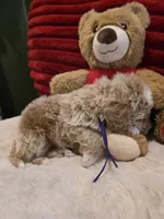 processed/7ea59eef-d9c9-42c4-b86a-232563a1aa0c/listing/dd4c8a71-9423-4091-a87b-a852d64752a9/83199805-3a8b-463a-b055-f918977af33b