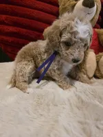 processed/7ea59eef-d9c9-42c4-b86a-232563a1aa0c/listing/dd4c8a71-9423-4091-a87b-a852d64752a9/9255702a-08ed-42c7-a32f-441d60ab4e04