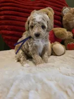 processed/7ea59eef-d9c9-42c4-b86a-232563a1aa0c/listing/dd4c8a71-9423-4091-a87b-a852d64752a9/947a90fd-2f58-4ab9-b8ac-2febf44358b8