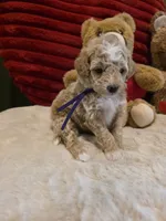 processed/7ea59eef-d9c9-42c4-b86a-232563a1aa0c/listing/dd4c8a71-9423-4091-a87b-a852d64752a9/b3d99956-5a81-4328-8566-d79aff88f3d8