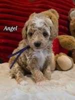 processed/7ea59eef-d9c9-42c4-b86a-232563a1aa0c/listing/dd4c8a71-9423-4091-a87b-a852d64752a9/df70e1c1-d6a2-4921-af7a-b69973f39402