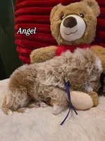 processed/7ea59eef-d9c9-42c4-b86a-232563a1aa0c/listing/dd4c8a71-9423-4091-a87b-a852d64752a9/e7b98d49-5e7b-4add-baeb-98e8d80ed622