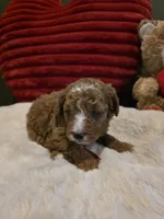 processed/7ea59eef-d9c9-42c4-b86a-232563a1aa0c/listing/e64e9547-ae82-4dc6-882b-76ecfd7c67ab/3227fee9-245e-4011-9086-d8561bff3a9a