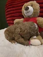 processed/7ea59eef-d9c9-42c4-b86a-232563a1aa0c/listing/e64e9547-ae82-4dc6-882b-76ecfd7c67ab/40a3a079-e593-405d-9c97-5d7c0ec9f2f2