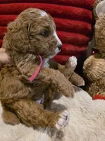 processed/7ea59eef-d9c9-42c4-b86a-232563a1aa0c/listing/e64e9547-ae82-4dc6-882b-76ecfd7c67ab/a4f3db62-113f-4393-8849-5ed125751de8