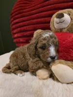 processed/7ea59eef-d9c9-42c4-b86a-232563a1aa0c/listing/e64e9547-ae82-4dc6-882b-76ecfd7c67ab/a6137628-6668-4ae6-a303-60a3ca07ee44