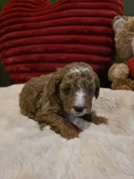 processed/7ea59eef-d9c9-42c4-b86a-232563a1aa0c/listing/e64e9547-ae82-4dc6-882b-76ecfd7c67ab/a8024b34-52dd-41b3-b9dd-b390aa728517