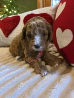 processed/7ea59eef-d9c9-42c4-b86a-232563a1aa0c/listing/e64e9547-ae82-4dc6-882b-76ecfd7c67ab/e2aa6e68-29b0-4459-a03a-af68bae8be75