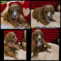 processed/7ea59eef-d9c9-42c4-b86a-232563a1aa0c/listing/e64e9547-ae82-4dc6-882b-76ecfd7c67ab/eeac12b6-179d-4426-a245-0cb05f973db9