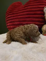 processed/7ea59eef-d9c9-42c4-b86a-232563a1aa0c/listing/eeb59c20-4153-4fd2-b163-311076e45d86/1b7158dd-d834-43f0-a13f-71a274b5497f