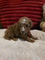 processed/7ea59eef-d9c9-42c4-b86a-232563a1aa0c/listing/eeb59c20-4153-4fd2-b163-311076e45d86/32b46a08-0baf-43c7-9e90-932f0a0adbc7