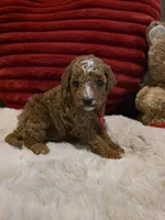 processed/7ea59eef-d9c9-42c4-b86a-232563a1aa0c/listing/eeb59c20-4153-4fd2-b163-311076e45d86/afd9ee7f-6fb9-4e8a-8212-129c5f7a978a