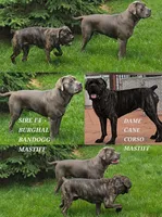 processed/7ea65d7e-7195-4eac-85db-130cf429b601/listing/293a3d11-e1e9-4aa2-88dc-2967f0d9cef2/6b3b6982-76db-4b66-91de-f4d35b9ccbc5