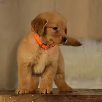 processed/7eabd422-7fae-4c28-9a4b-5540fe801ee4/facility/c2ce3f5a-f885-4048-8e7d-e2107f85673f