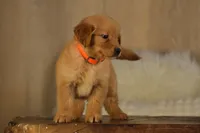 processed/7eabd422-7fae-4c28-9a4b-5540fe801ee4/facility/c2ce3f5a-f885-4048-8e7d-e2107f85673f