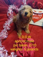 processed/7eae8d2e-271d-4af2-9aae-092afabfe881/listing/9ee772ef-0ea3-447a-bf21-6146b853c7bf/0befc3d0-bdb2-4a30-ad3e-8dec49e54026