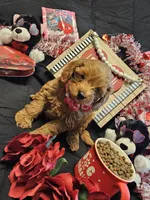 processed/7eae8d2e-271d-4af2-9aae-092afabfe881/listing/9ee772ef-0ea3-447a-bf21-6146b853c7bf/2032a628-13b2-4d92-b00e-7ee76b09ae19