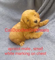 processed/7eae8d2e-271d-4af2-9aae-092afabfe881/listing/9ee772ef-0ea3-447a-bf21-6146b853c7bf/b139e19b-6a93-4af7-9472-dcc150d391eb