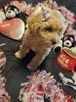 processed/7eae8d2e-271d-4af2-9aae-092afabfe881/listing/e900cab7-2185-4896-a188-f89bf36a7047/06b6d094-5243-4bb2-98bc-0dfdb7c16888