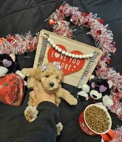 processed/7eae8d2e-271d-4af2-9aae-092afabfe881/listing/e900cab7-2185-4896-a188-f89bf36a7047/1c27fed5-c93a-4688-96b4-e0dcd3436dfa