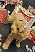 processed/7eae8d2e-271d-4af2-9aae-092afabfe881/listing/e900cab7-2185-4896-a188-f89bf36a7047/5a7c6012-153d-458e-86ac-85be5ce34481