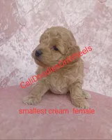 processed/7eae8d2e-271d-4af2-9aae-092afabfe881/listing/e900cab7-2185-4896-a188-f89bf36a7047/95c7b23f-2c82-483a-8706-8a49ce84dd35