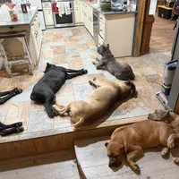 processed/7eb2e9e1-3f39-46ec-bf25-532587663079/facility/0cab1a63-df52-4933-858a-abb808f8e5b9