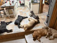 processed/7eb2e9e1-3f39-46ec-bf25-532587663079/facility/0cab1a63-df52-4933-858a-abb808f8e5b9