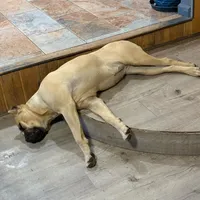 processed/7eb2e9e1-3f39-46ec-bf25-532587663079/facility/509975ec-6e5f-4c24-8b53-01c1741a66ea