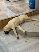 processed/7eb2e9e1-3f39-46ec-bf25-532587663079/facility/509975ec-6e5f-4c24-8b53-01c1741a66ea