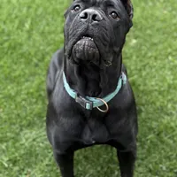 processed/7eb2e9e1-3f39-46ec-bf25-532587663079/facility/7defa78d-8fa6-4f2c-bbf7-efa44b36ae8a