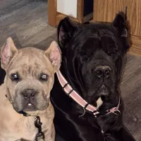 processed/7eb2e9e1-3f39-46ec-bf25-532587663079/facility/7f1aba9f-f040-41ba-b43a-f8b89e9dfeb0