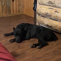 processed/7eb2e9e1-3f39-46ec-bf25-532587663079/facility/bc2d6b37-e1cc-45ce-bab2-95645c4dfa31