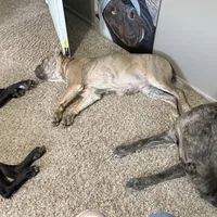 processed/7eb2e9e1-3f39-46ec-bf25-532587663079/facility/c6c08501-a9bb-485f-b68c-76093e375271