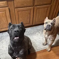 processed/7eb2e9e1-3f39-46ec-bf25-532587663079/facility/f44ce61c-b19d-48c3-993e-7c6df8ef312b