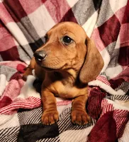 processed/7eb58085-b03d-41e5-a772-d14aa24b9163/listing/2693aff4-c8c6-436f-b92d-5059993a8df8/38f77d91-4bbf-40b4-ab72-06d779064a23