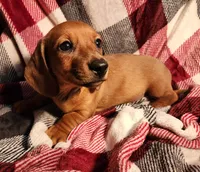 processed/7eb58085-b03d-41e5-a772-d14aa24b9163/listing/2693aff4-c8c6-436f-b92d-5059993a8df8/3b851585-fe30-4713-9083-3e54287df440