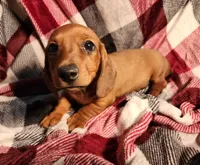 processed/7eb58085-b03d-41e5-a772-d14aa24b9163/listing/2693aff4-c8c6-436f-b92d-5059993a8df8/4cffff67-774a-4286-866a-47df2086a7f5