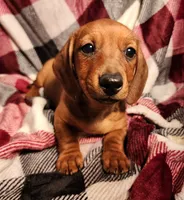 processed/7eb58085-b03d-41e5-a772-d14aa24b9163/listing/2693aff4-c8c6-436f-b92d-5059993a8df8/5fe25b8a-cb4e-4d90-a3ff-79aed319503b