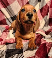 processed/7eb58085-b03d-41e5-a772-d14aa24b9163/listing/2693aff4-c8c6-436f-b92d-5059993a8df8/63787601-b621-4f3a-8157-7ad3a7378449