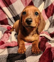 processed/7eb58085-b03d-41e5-a772-d14aa24b9163/listing/2693aff4-c8c6-436f-b92d-5059993a8df8/79eb5dd4-f1b4-49d6-81d2-e158f509e066